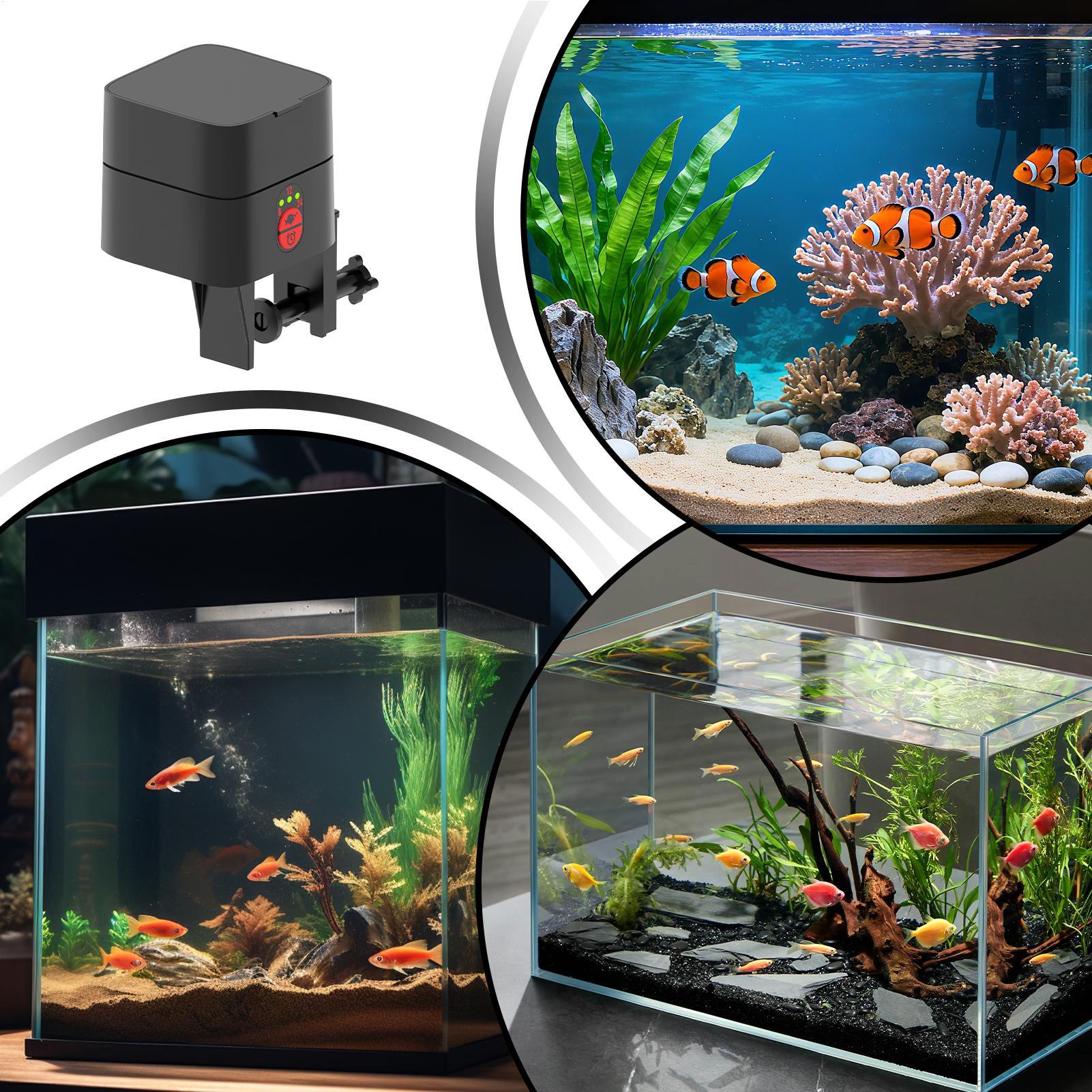 Auto Fish Feeder For Aquarium  - Fishing Line Dispenser 评论和价格